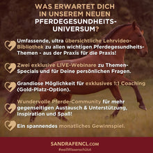 Laden Sie das Bild in den Galerie-Viewer, 🐎☯🥳 MEGA Doppel-Bundle: Skool-JAHRES-Zugang zur umfassenden Pferde-Plattform & Community & Online-Trainings-Intensivseminar Kreatives Balancetraining & Verladen inkl. GOLD-Coachingplatz 🎁
