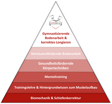 Laden Sie das Bild in den Galerie-Viewer, 🐎🎉💖 Doppel-Bundle: Ganzheitliches Bodenarbeits-Intensiv-Onlineseminar & 6 Monate Skool-Gesundheit ☯🎁 SILBER-Coaching-Edition ✨