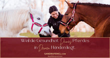 Laden Sie das Bild in den Galerie-Viewer, 🐎☯🥳 MEGA Doppel-Bundle: Skool-JAHRES-Zugang zur umfassenden Pferde-Plattform & Community & Online-Trainings-Intensivseminar Kreatives Balancetraining & Verladen inkl. GOLD-Coachingplatz 🎁