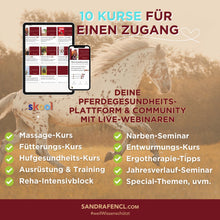 Laden Sie das Bild in den Galerie-Viewer, 🐎🎉💖 Doppel-Bundle: Ganzheitliches Bodenarbeits-Intensiv-Onlineseminar & 6 Monate Skool-Gesundheit ☯🎁 SILBER-Coaching-Edition ✨