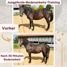 Laden Sie das Bild in den Galerie-Viewer, 🐎🎉💖 Doppel-Bundle: Ganzheitliches Bodenarbeits-Intensiv-Onlineseminar & 6 Monate Skool-Gesundheit ☯🎁 SILBER-Coaching-Edition ✨