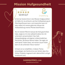 Laden Sie das Bild in den Galerie-Viewer, 🥳🐎🎁 Intensiv-Special: Mission-Hufgesundheit Intensiv-Seminar