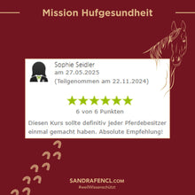 Laden Sie das Bild in den Galerie-Viewer, 🥳🐎🎁 Intensiv-Special: Mission-Hufgesundheit Intensiv-Seminar