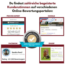Laden Sie das Bild in den Galerie-Viewer, 🐎🎉💖 Doppel-Bundle: Ganzheitliches Bodenarbeits-Intensiv-Onlineseminar & 6 Monate Skool-Gesundheit ☯🎁 SILBER-Coaching-Edition ✨