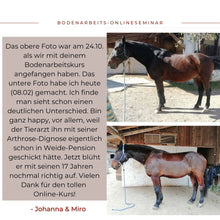 Laden Sie das Bild in den Galerie-Viewer, 🐎🎉💖 Doppel-Bundle: Ganzheitliches Bodenarbeits-Intensiv-Onlineseminar & 6 Monate Skool-Gesundheit ☯🎁 SILBER-Coaching-Edition ✨