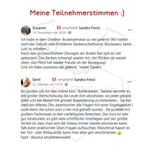 Laden Sie das Bild in den Galerie-Viewer, 🐎🎉💖 Doppel-Bundle: Ganzheitliches Bodenarbeits-Intensiv-Onlineseminar & 6 Monate Skool-Gesundheit ☯🎁 SILBER-Coaching-Edition ✨