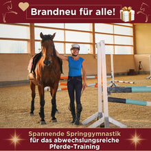Laden Sie das Bild in den Galerie-Viewer, 🐎 ✨ Freizeitreiter-Online-Akademie 3.0: SELBSTLERN-Edition