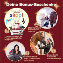 Laden Sie das Bild in den Galerie-Viewer, 🐎✨ Online-Ausbildung in zirzensischer Gymnastik - Silber-Geschenk-EDITION 🎁✨