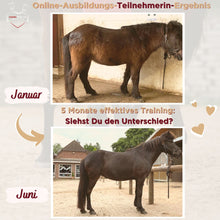 Laden Sie das Bild in den Galerie-Viewer, 🐎🎉💖 Doppel-Bundle: Ganzheitliches Bodenarbeits-Intensiv-Onlineseminar & 6 Monate Skool-Gesundheit ☯🎁 SILBER-Coaching-Edition ✨