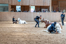 Laden Sie das Bild in den Galerie-Viewer, 🐎🥳 TAGESTICKET Zuseherplatz LIVE-Pferdetrainings-Intensivtage 2026 🐴✨