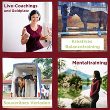 Laden Sie das Bild in den Galerie-Viewer, 🐎☯🥳 MEGA Doppel-Bundle: Skool-JAHRES-Zugang zur umfassenden Pferde-Plattform & Community & Online-Trainings-Intensivseminar Kreatives Balancetraining & Verladen inkl. GOLD-Coachingplatz 🎁