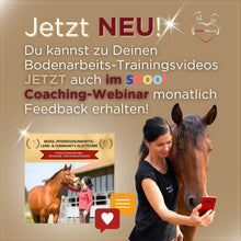 Laden Sie das Bild in den Galerie-Viewer, 🐎🎉💖 Doppel-Bundle: Ganzheitliches Bodenarbeits-Intensiv-Onlineseminar & 6 Monate Skool-Gesundheit ☯🎁 SILBER-Coaching-Edition ✨