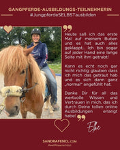 Laden Sie das Bild in den Galerie-Viewer, 🐎😍 Neue gesundheitsfördernde Gangpferde Online-Ausbildung ✨