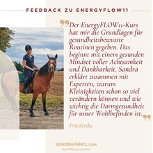 Laden Sie das Bild in den Galerie-Viewer, ✨ EnergyFLOW11 2026 Intensiv-Seminar 😍💪 - mehr Energie - mehr Leben!
