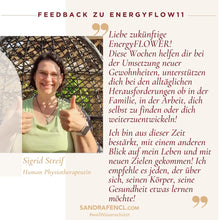 Laden Sie das Bild in den Galerie-Viewer, ✨ EnergyFLOW11 2026 Intensiv-Seminar 😍💪 - mehr Energie - mehr Leben!