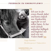 Laden Sie das Bild in den Galerie-Viewer, ✨ EnergyFLOW11 2026 Intensiv-Seminar 😍💪 - mehr Energie - mehr Leben!