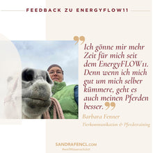 Laden Sie das Bild in den Galerie-Viewer, ✨ EnergyFLOW11 2026 Intensiv-Seminar 😍💪 - mehr Energie - mehr Leben!