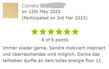 Laden Sie das Bild in den Galerie-Viewer, ✨ EnergyFLOW11 2026 Intensiv-Seminar 😍💪 - mehr Energie - mehr Leben!