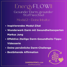 Laden Sie das Bild in den Galerie-Viewer, ✨ EnergyFLOW11 2026 Intensiv-Seminar 😍💪 - mehr Energie - mehr Leben!