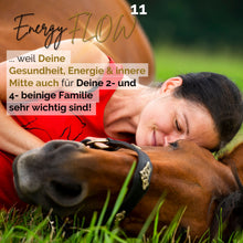 Laden Sie das Bild in den Galerie-Viewer, ✨ EnergyFLOW11 2026 Intensiv-Seminar 😍💪 - mehr Energie - mehr Leben!