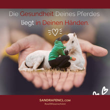 Laden Sie das Bild in den Galerie-Viewer, 🐎 ✨ Freizeitreiter-Online-Akademie 3.0: SELBSTLERN-Edition