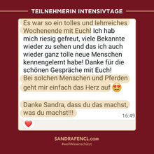 Laden Sie das Bild in den Galerie-Viewer, 🐎🥳 TAGESTICKET Zuseherplatz LIVE-Pferdetrainings-Intensivtage 2026 🐴✨