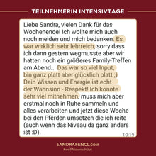 Laden Sie das Bild in den Galerie-Viewer, 🐎🥳 TAGESTICKET Zuseherplatz LIVE-Pferdetrainings-Intensivtage 2026 🐴✨
