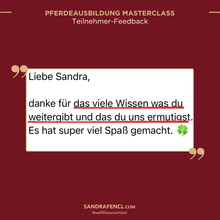 Laden Sie das Bild in den Galerie-Viewer, 🐎👑 Pferdeausbildung MASTERCLASS - VIP-AUFZEICHNUNGSPAKET inkl. Schiefen-Workbook