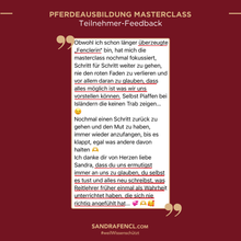 Laden Sie das Bild in den Galerie-Viewer, 🐎👑 Pferdeausbildung MASTERCLASS - VIP-AUFZEICHNUNGSPAKET inkl. Schiefen-Workbook