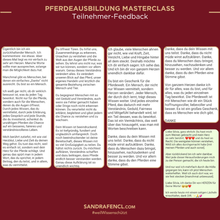 Laden Sie das Bild in den Galerie-Viewer, 🐎👑 Pferdeausbildung MASTERCLASS - VIP-AUFZEICHNUNGSPAKET inkl. Schiefen-Workbook