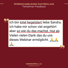 Laden Sie das Bild in den Galerie-Viewer, 🐎👑 Pferdeausbildung MASTERCLASS - VIP-AUFZEICHNUNGSPAKET inkl. Schiefen-Workbook