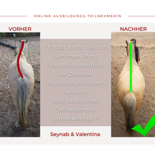 Laden Sie das Bild in den Galerie-Viewer, 🐎✨ Online-Ausbildung in zirzensischer Gymnastik - Silber-Geschenk-EDITION 🎁✨