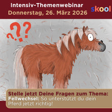 Laden Sie das Bild in den Galerie-Viewer, 🎁🏇☯ 6 Monate Pferde-Skool-Plattform & 12 Live-Webinare inklusive 🐎💕