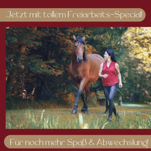 Laden Sie das Bild in den Galerie-Viewer, 🐎🎉💖 Doppel-Bundle: Ganzheitliches Bodenarbeits-Intensiv-Onlineseminar & 6 Monate Skool-Gesundheit ☯🎁 SILBER-Coaching-Edition ✨