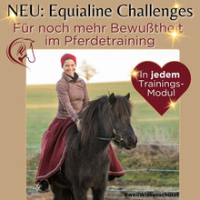 Laden Sie das Bild in den Galerie-Viewer, 🐎😍 Neue gesundheitsfördernde Gangpferde Online-Ausbildung ✨