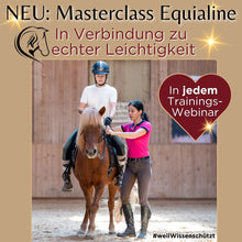 Laden Sie das Bild in den Galerie-Viewer, 🐎😍 Neue gesundheitsfördernde Gangpferde Online-Ausbildung ✨
