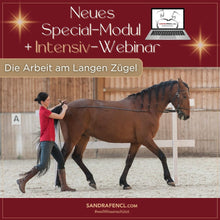 Laden Sie das Bild in den Galerie-Viewer, ⭐ADVANCED 3.0 - SILBER-Edition 2025/2026 🐎