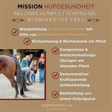 Laden Sie das Bild in den Galerie-Viewer, 🥳🐎🎁 Intensiv-Special: Mission-Hufgesundheit Intensiv-Seminar