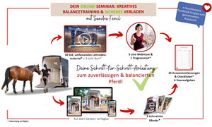 🐴😍 Onlineausbildung Kreatives Balancetraining, Pferde-Ergotherapie, sicheres Verladen & Freiarbeit: Special-Selbstlern-Edition
