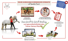 Laden Sie das Bild in den Galerie-Viewer, 🐎✨ Online-Ausbildung in zirzensischer Gymnastik - Silber-Geschenk-EDITION 🎁✨