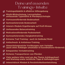 Laden Sie das Bild in den Galerie-Viewer, 🐎☯🥳 MEGA Doppel-Bundle: Skool-JAHRES-Zugang zur umfassenden Pferde-Plattform & Community & Online-Trainings-Intensivseminar Kreatives Balancetraining & Verladen inkl. GOLD-Coachingplatz 🎁