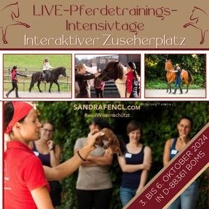 Interaktiver Gold-Zuseherplatz Live-Pferdetrainings-Intensivtage 3.-6. Oktober 2024 🐴✨🚀