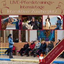 Laden Sie das Bild in den Galerie-Viewer, ⭐ADVANCED 3.0 - SILBER-Edition 2025/2026 🐎