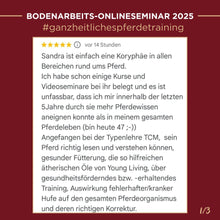 Laden Sie das Bild in den Galerie-Viewer, 🐎🎉💖 Doppel-Bundle: Ganzheitliches Bodenarbeits-Intensiv-Onlineseminar & 6 Monate Skool-Gesundheit ☯🎁 SILBER-Coaching-Edition ✨