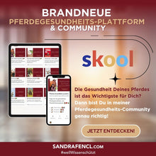 Laden Sie das Bild in den Galerie-Viewer, 🐎☯🥳 MEGA Doppel-Bundle: Skool-JAHRES-Zugang zur umfassenden Pferde-Plattform & Community & Online-Trainings-Intensivseminar Kreatives Balancetraining & Verladen inkl. GOLD-Coachingplatz 🎁