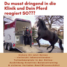 Laden Sie das Bild in den Galerie-Viewer, 🐎☯🥳 MEGA Doppel-Bundle: Skool-JAHRES-Zugang zur umfassenden Pferde-Plattform & Community & Online-Trainings-Intensivseminar Kreatives Balancetraining & Verladen inkl. GOLD-Coachingplatz 🎁