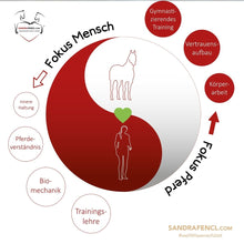 Laden Sie das Bild in den Galerie-Viewer, 🐎☯🥳 MEGA Doppel-Bundle: Skool-JAHRES-Zugang zur umfassenden Pferde-Plattform & Community & Online-Trainings-Intensivseminar Kreatives Balancetraining & Verladen inkl. GOLD-Coachingplatz 🎁