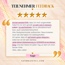 Laden Sie das Bild in den Galerie-Viewer, ✨ MEvolution VIP-Edition ✨
