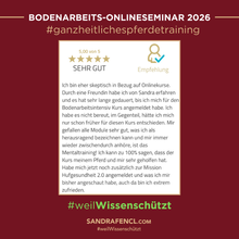 Laden Sie das Bild in den Galerie-Viewer, 🐎🎉💖 Doppel-Bundle: Ganzheitliches Bodenarbeits-Intensiv-Onlineseminar & 6 Monate Skool-Gesundheit ☯🎁 SILBER-Coaching-Edition ✨