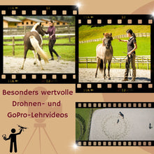 Laden Sie das Bild in den Galerie-Viewer, 🐎 ✨ Freizeitreiter-Online-Akademie 3.0: SELBSTLERN-Edition